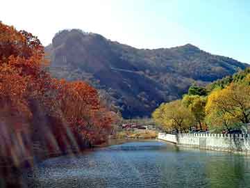 澳门二四六天天彩图库，氧化锌报价